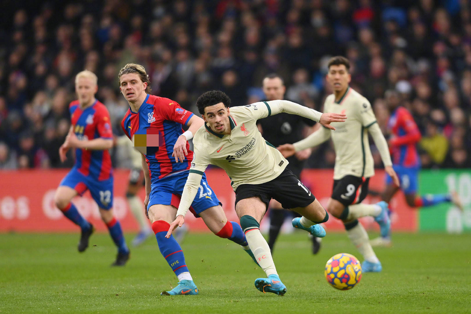 与希伯尼安 与希伯尼安